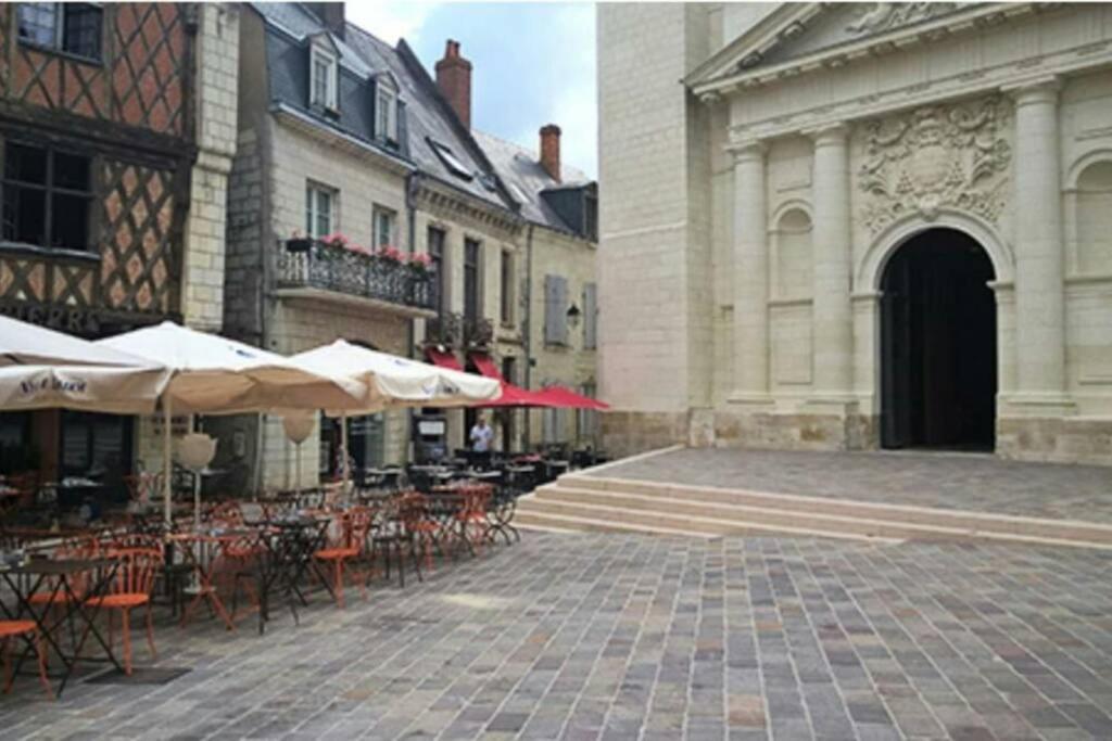 Bel Appartement 50M2 En Plein Centre De 索米尔 外观 照片