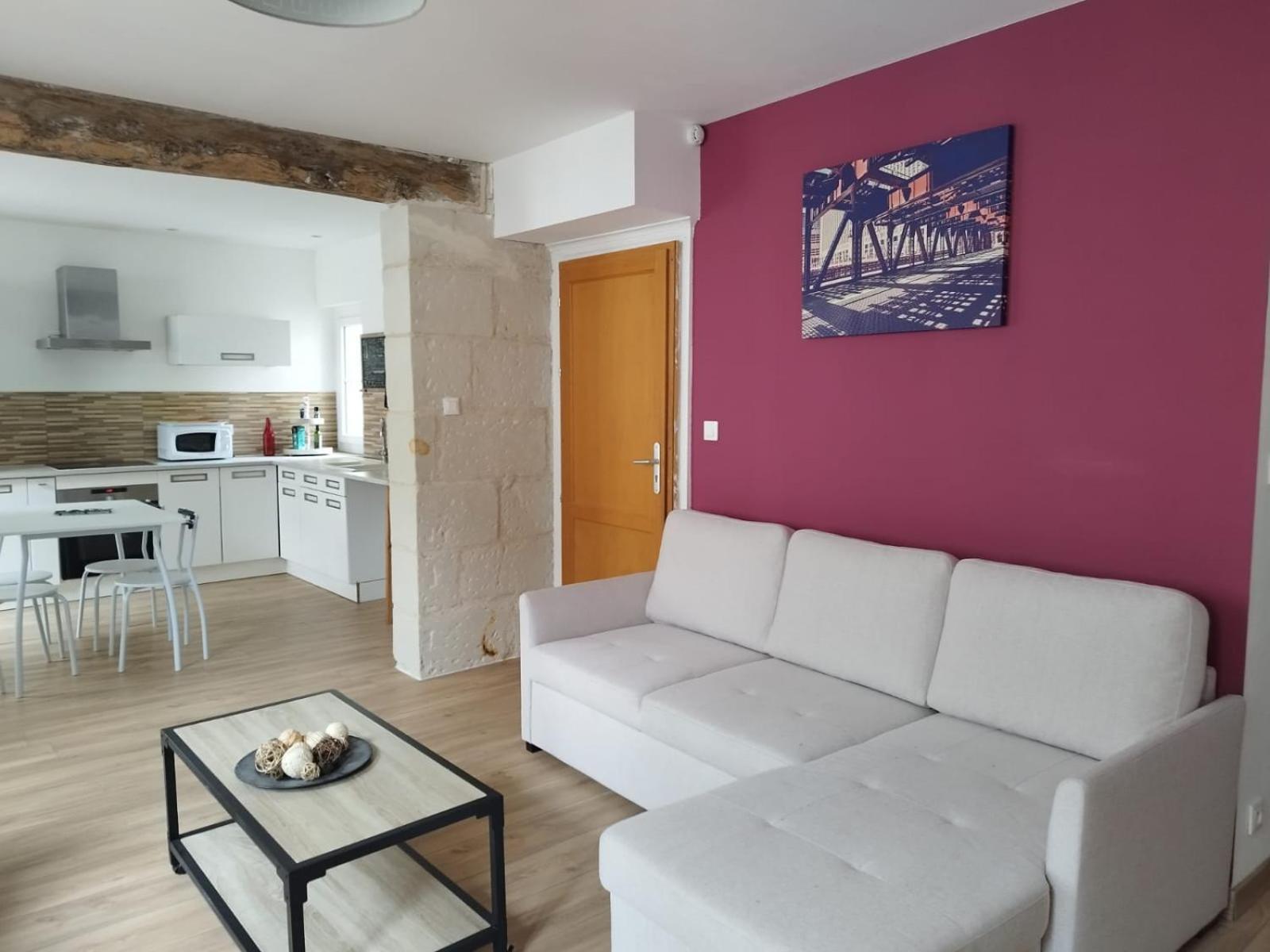 Bel Appartement 50M2 En Plein Centre De 索米尔 外观 照片